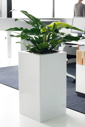 Prestige zuil 40x40x75 | Vierkante plantenbakken;Hoge Plantrent